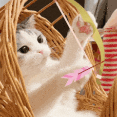 0079374F.gif
