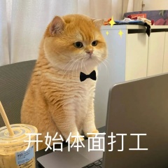 13A9A71C.jpg